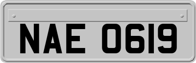 NAE0619