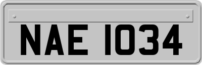 NAE1034