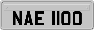 NAE1100