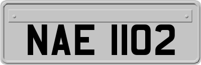 NAE1102