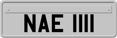 NAE1111