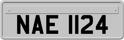 NAE1124
