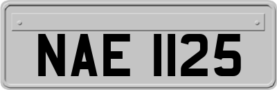 NAE1125