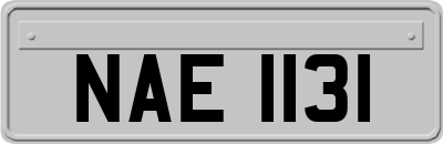 NAE1131