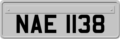 NAE1138