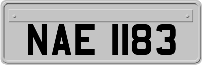 NAE1183