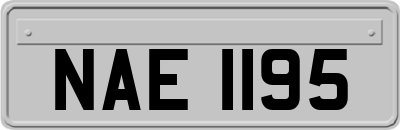 NAE1195