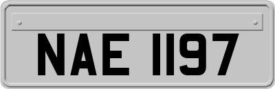 NAE1197