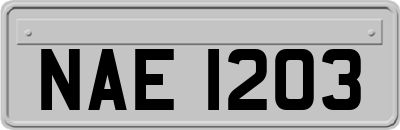 NAE1203