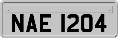 NAE1204