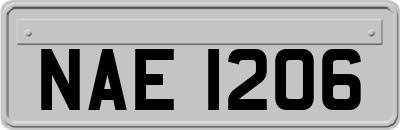 NAE1206