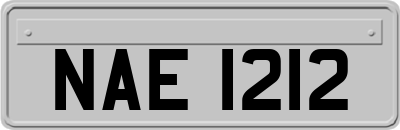 NAE1212