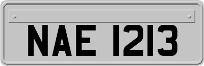 NAE1213