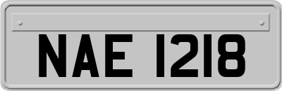 NAE1218