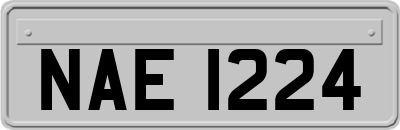 NAE1224