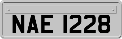 NAE1228