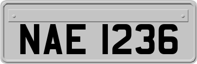 NAE1236