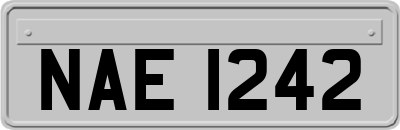 NAE1242