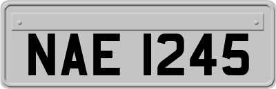 NAE1245