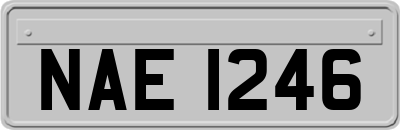 NAE1246