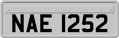 NAE1252