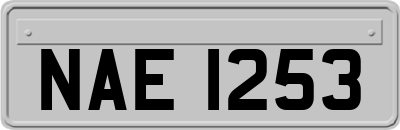 NAE1253