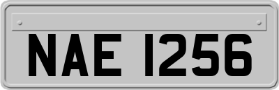 NAE1256