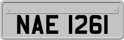 NAE1261