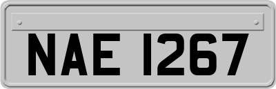 NAE1267