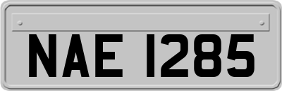 NAE1285