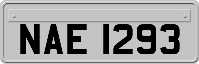 NAE1293