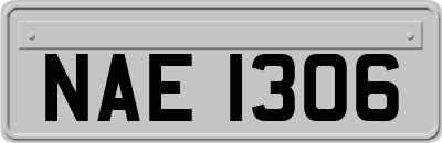 NAE1306