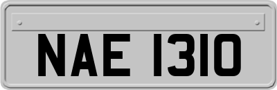 NAE1310