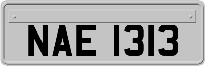 NAE1313