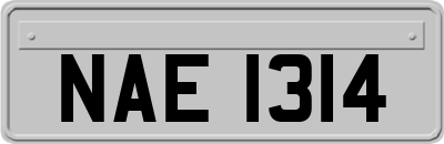 NAE1314