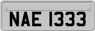 NAE1333