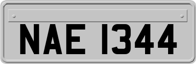 NAE1344