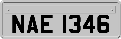NAE1346