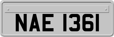 NAE1361