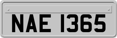 NAE1365