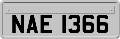 NAE1366