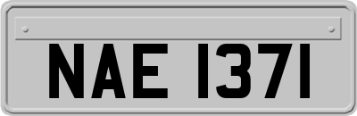 NAE1371