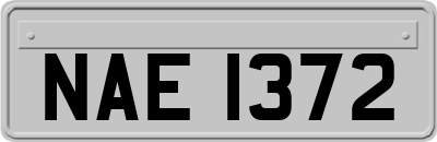 NAE1372