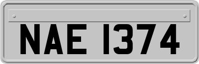 NAE1374