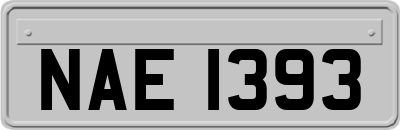 NAE1393