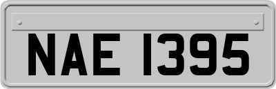 NAE1395
