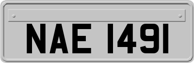 NAE1491