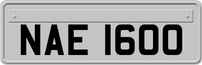 NAE1600