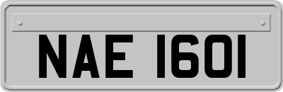 NAE1601