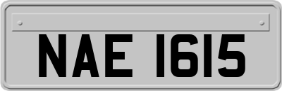 NAE1615